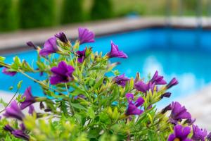 Kandimaa villa Saaremaal