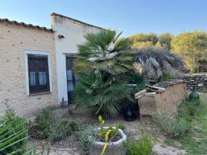Piccolo Borgo di Pescatori img42