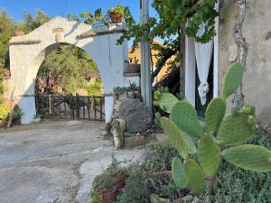 Piccolo Borgo di Pescatori img59