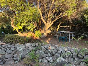 Piccolo Borgo di Pescatori img86