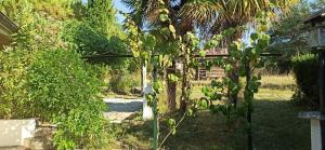 Maisons de vacances Les Falaises : photos des chambres