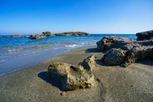 Appartements La Caletta Corsa Apartments con due camere a 100 m dal mare - WiFi fibra FTTH - ALL INCLUSIVE : photos des chambres