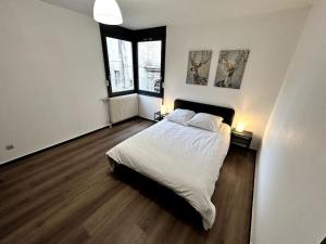 Appartements Le Puy en Velay - Appartement grand confort : photos des chambres