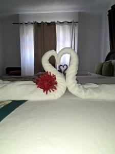 Riviera Punta Cana Eco Travelers