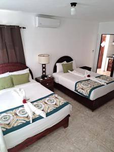 Riviera Punta Cana Eco Travelers