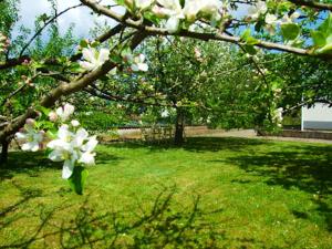 Maisons de vacances Maison de 2 chambres avec jardin amenage et wifi a Champagney : photos des chambres