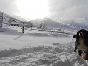 Las termas de los Molles