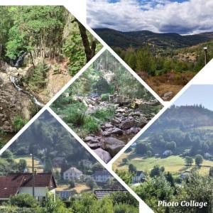 Maisons de vacances Gite Les Buis Cornimont La Bresse : photos des chambres