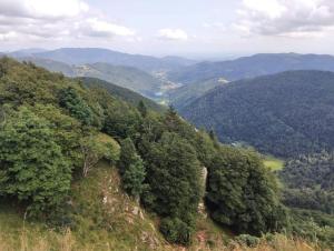 Maisons de vacances Gite Les Buis Cornimont La Bresse : photos des chambres