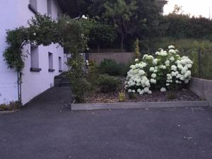 Maisons de vacances Gite Les Buis Cornimont La Bresse : photos des chambres