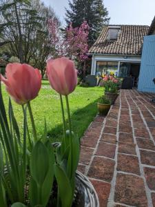 B&B / Chambres d'hotes Domaine Du Tafiart : photos des chambres