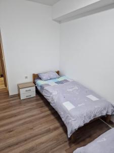 Apartment Trifunovi