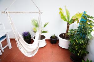 SURF DREAM Surfhouse