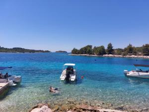 Apartment TRI MASLINE with seaview