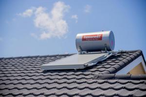 Entire residential home • Trelawny• Smalls Villa