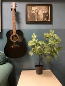 Koala Hostel
