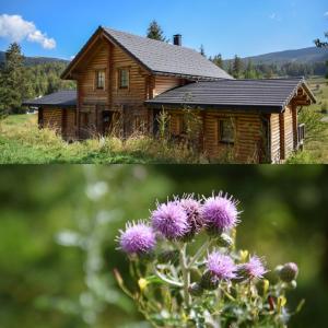 Chalets Magnifique chalet avec SAUNA : photos des chambres