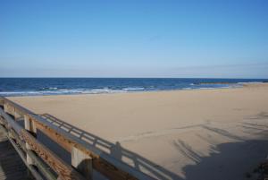 Cozy Suite - Pet friendly, Beach Side apts