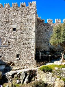Mustafa Tokalaç Castle house