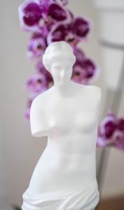 The view of Kotor - Sea & Old town view