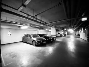 Angel Mint Apartment Parking Free and Balcony