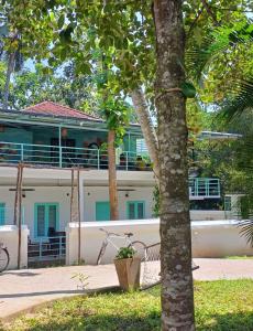 Mollys Hostel
