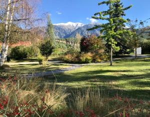 Maisons de vacances Logement classe 4 etoiles avec SAUNA et vue sur le Canigou : photos des chambres