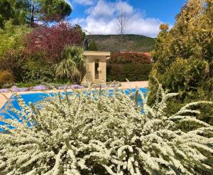 Maisons de vacances Logement classe 4 etoiles avec SAUNA et vue sur le Canigou : photos des chambres