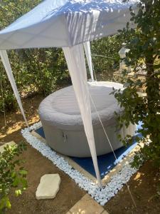 Maisons de vacances LA DOLCE VITA MAZET A GASSIN GOLFE DE SAINT TROPEZ : photos des chambres