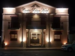 Caetité Palace Hotel - 里奥迪孔塔斯