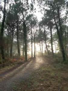 Joli appart. entre Biarritz et Bordeaux à Moliets