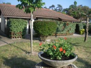 Appartements Joli appart. entre Biarritz et Bordeaux a Moliets : photos des chambres