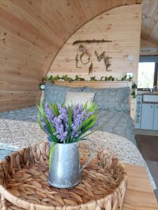 Sea Crest Pods Rossnowlagh