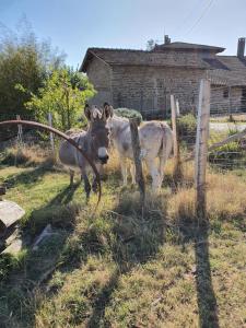 Maisons de vacances Les Figuets : photos des chambres