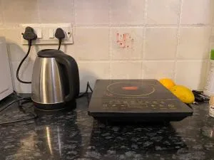 Tara Luxury Homes - Chail