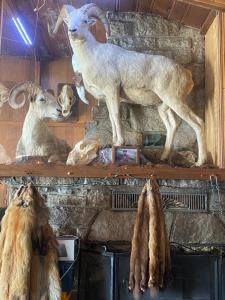 Tolsona Lake Lodge
