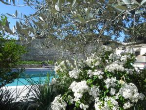Maisons de vacances VILLA DEL RE 3 face a la piscine : photos des chambres