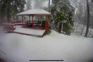 Forest Cabin by China Creek - Coarsegold