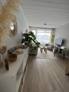 Vakantiehuisje Zoutelande