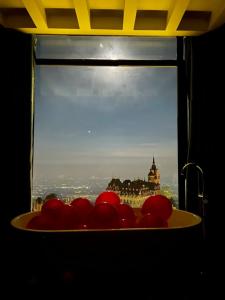 Wonderland Homestay - Venuestay