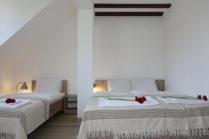 Apartamenty Zielony Dom