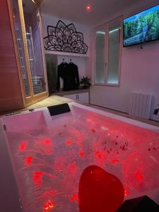 Appartements Spamoureux EPINAY : photos des chambres
