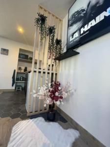 Appartements Spamoureux EPINAY : photos des chambres