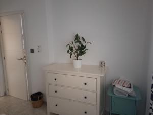 Apartamento con jardín y piscina Pet friendly