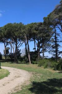 Maisons de vacances Mas provencal datant de 1738 avec piscine : photos des chambres