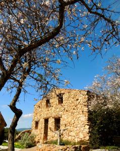 Auberges Domaine Pozzo di Mastri : photos des chambres