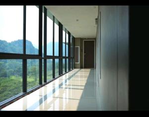 Birds nest forest khaoyai