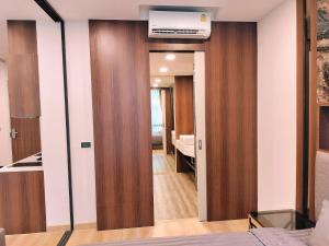 Birds nest forest khaoyai