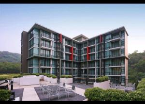 Birds nest forest khaoyai