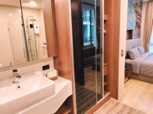 Birds nest forest khaoyai